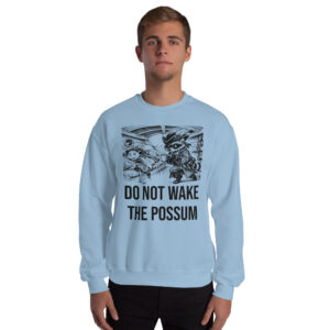 Do Not Wake The Possum Sweatshirt, Funny Boat Crewneck, V-Berth Nap Shirt, Raccoon Possum Sailor Gift