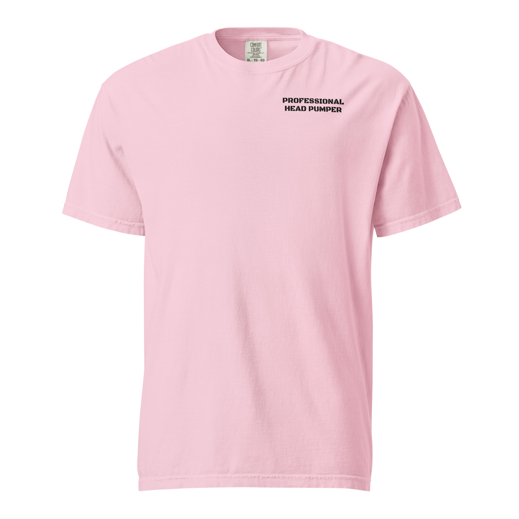 Professional Head Pumper Shirt, Funny Boat Toilet Tee, Sailor Humor Gift, Raccoon Pirate Comfort Colors Shirt - Image 8