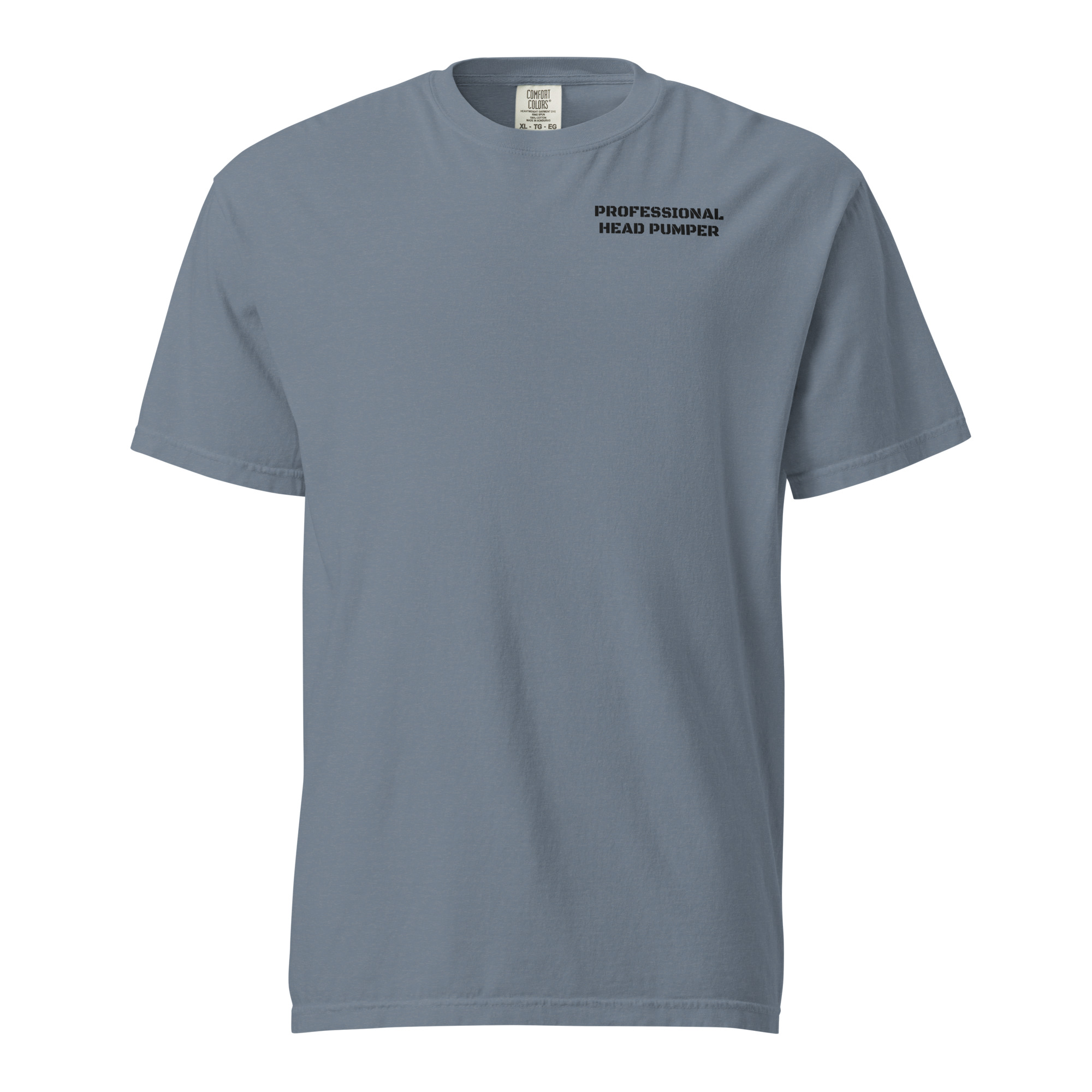 Professional Head Pumper Shirt, Funny Boat Toilet Tee, Sailor Humor Gift, Raccoon Pirate Comfort Colors Shirt