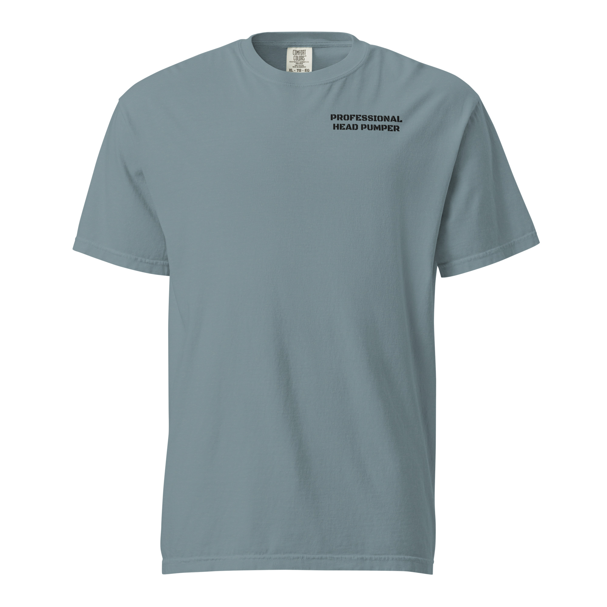 Professional Head Pumper Shirt, Funny Boat Toilet Tee, Sailor Humor Gift, Raccoon Pirate Comfort Colors Shirt - Image 3